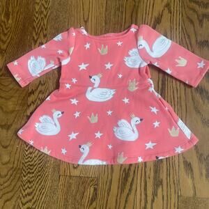 Gymboree Baby Fleece Lined Dress Sz 3-6 M